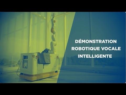 CRVI - DEMO Robotique Vocale intelligente