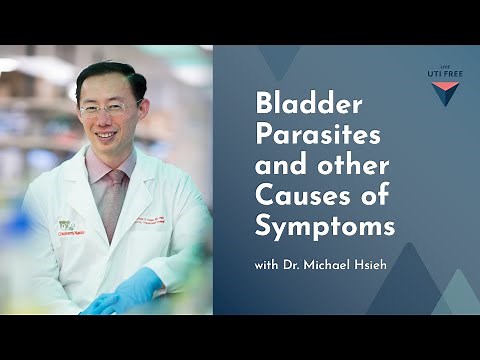 Bladder Parasites and other Causes of Symptoms: Dr. Michael Hsieh on Chronic UTI, Part 1