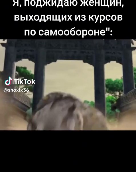 подпишись и поставь лайк #mem #я #мемы #xyzbca #мем #жиза #fyp #рек | meme