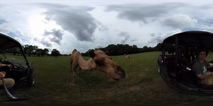 Want to see what visiting Tupelo is like in 360 degree video? Check it out! | My Tupelo