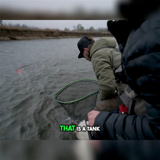 Tips to catch more Steelhead from Big Dave! | Addicted Fishing