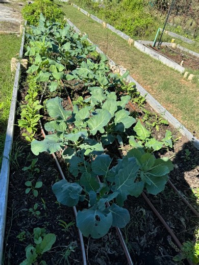 First-ever nature campus coming to J.S. Clark Elementary in Shreveport
