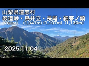 【登山】 山梨県道志村 厳道峠・鳥井立・長尾・細茅ノ頭 2025.11.04