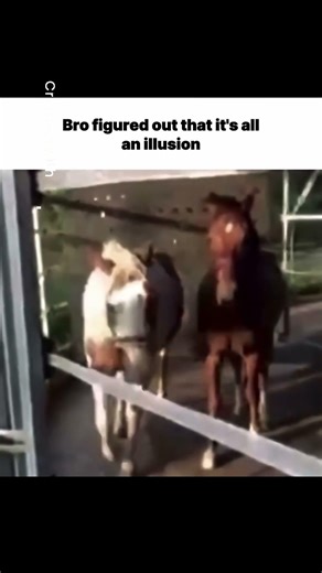 Escape from your illusion mind