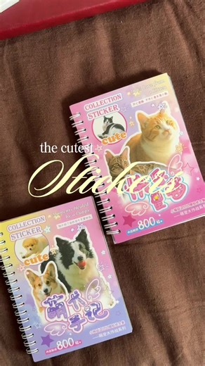 THE cutest stickers 🥹 #stickers #stickertok #stickerjournal