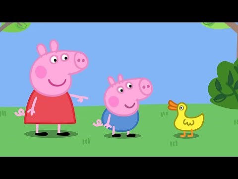 Peppa And George Go Bird Watching!