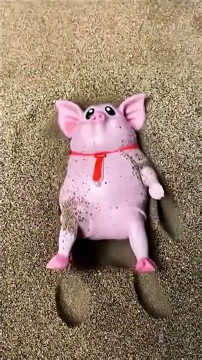 Poor piggy and remote control TANK 🚓