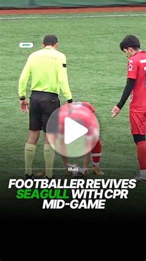 Footballer Revives Seagull with CPR on the Pitch