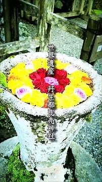 世界遺産 丹生都比売神社へ参拝に上がりました🙏⛩️素晴らしい御神威と共に清らかな空間でした🙏✨ #丹生都比売神社 #神社参拝 #世界遺産