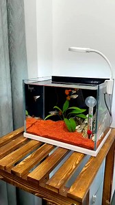 Aquarium Filter! #underwater #fishaquarium #filter #diy #fishtanksetup #fypシ #shorts #viral #foryou #reels #fyp #viral | Aquatic Wonders Hub