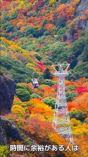 【小豆島一人旅】女性ひとりでも安心！絶景とグルメを満喫する旅