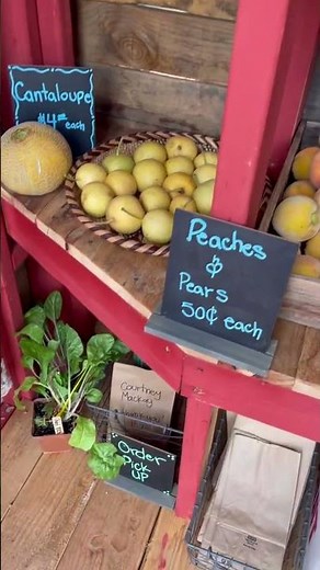 Step Inside Our Country Farm Stand – Fresh, Local, & On the Honor System