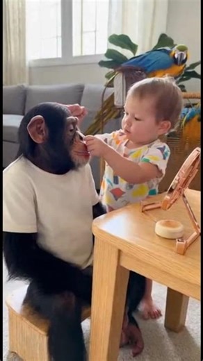 Baby Puts Lipstick on Monkey! FUNNY #funny