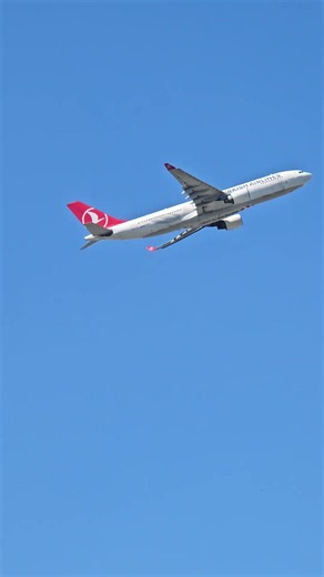 Turkish Airlines Airbus A330 Take Off From Frankfurt Airport #aviation