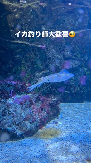 Instagram video by ぐんじ • Dec 28, 2025 at 2:02 AM