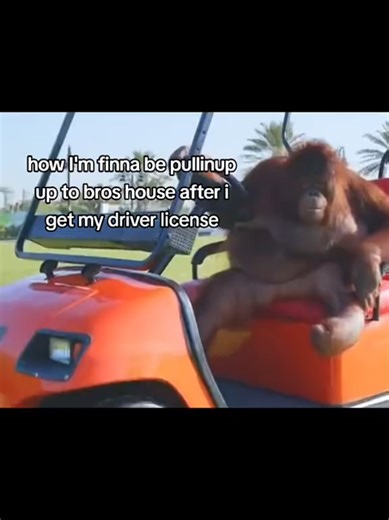 #fyp #viral #bro #relatable | Drivers License