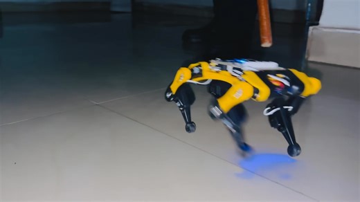 1.2K views · 32 reactions | Call it a stubborn little machine. You knock it down, but it won’t quit, it won’t take ‘no’ for an answer… a robot with attitude. #LabsAi #OpenSource #Robotics #Innovation #STEM #Makerspace #TechForGood #Coding #TMEducation #Electronics #FutureOfTech #AIForGood #Petoi We build and inspire! | EO Robotics Lab | Facebook