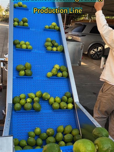 Efficient Small Lemon Washing and Juicing Production Line