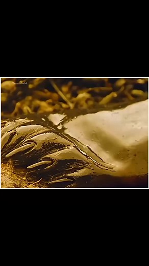 134K views · 1.2K reactions | hollywood movie explained in Hindi/Urdu...