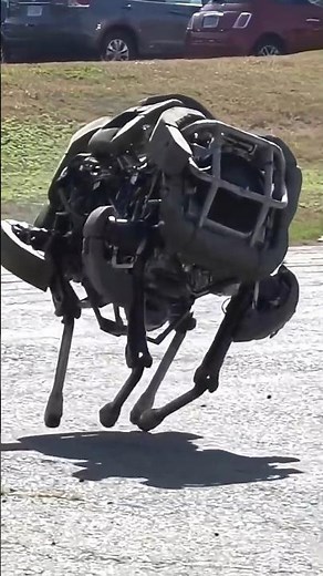 A legged robot that runs at 20 mph, by a two stroke go kart engine, from Boston Dynamics