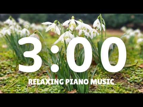3 Minute Spring Timer with Relaxing Music and Bird Sounds