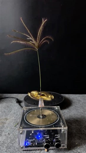 Tesla coil testing #experiment #teslacoil #shorts