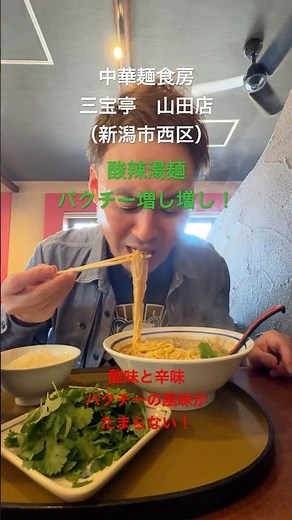 パクチー増し増しの酸辣湯麺！中華麺食房 三宝亭 山田店（新潟市西区）！酸っぱ辛くてパクチーの風味も最高！#新潟ラーメン #新潟ランチ #新潟グルメ #酸辣湯麺 #パクチー