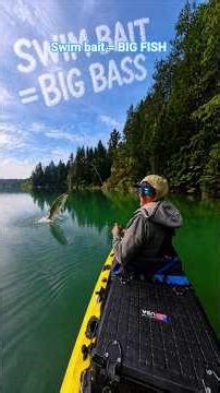 Swim Bait =BIG FISH #fishing #kayakbassfishing #bassfishing #california #lake #fishingvideo