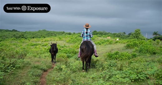 The women feeding Cuba - United Nations Development Programme | UNDP