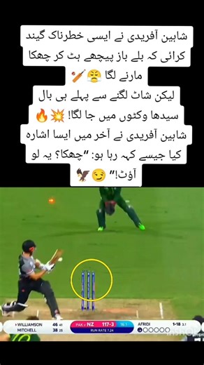 #bowler Shaheen Shah Afridi 👑🦅💥#Unplayable #ShaheenShahAfridi #FastBowling #CleanBowled#cleanbowled