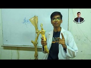 Part= 2 The Forelimbs (Gross Anatomy)