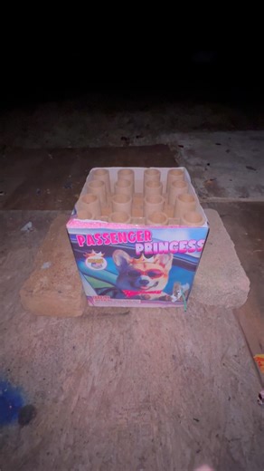 Passenger Princess 200G 1️⃣6️⃣ shots 👑World Class👑 #fireworks #shorts #fireworkscake