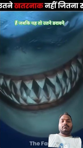 There are about 500 types of shark in the world