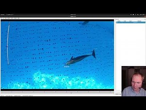 Annotating videos in sleap.ai