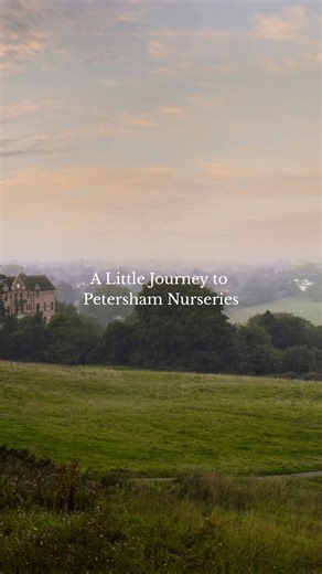 Petersham Nurseries | Follow the path from Richmond Hill, through open meadows, to where nature and beauty meet. Step into the gardens, wander past blooming... | Instagram