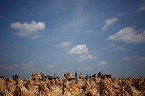 Labor Groups Urge Biden Administration to Investigate Alleged ‘Modern-Day’ Slavery in Georgia