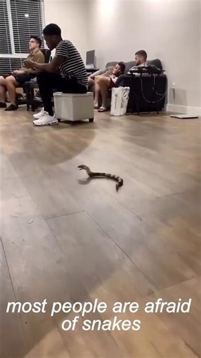 Deadliest Snakes on Earth 🐍 | This Will Shock You