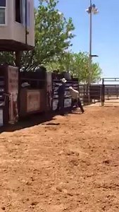 43K views · 1.1K reactions | Bushwacker son, "Whacked Out" places 10th (out of 83 bulls) yesterday at the ABBI's West Coast American Heritage Futurity! 88 points. | Bushwacker, PBR Bucking Bull | Facebook