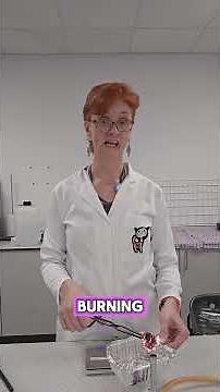 Burning Iron Wool Experiment | School Science Technician Demo