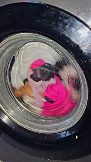 LG front load washing machine full service