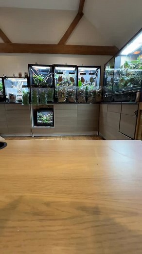 Simple steps to successful keeping, HabiStat Elements is here to help! | HabiStat