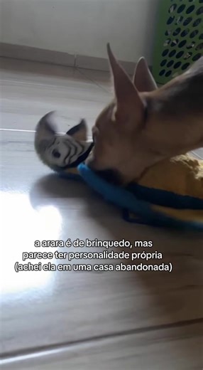 coisa mais fofa né gente? Olha essa arara da furreal friends