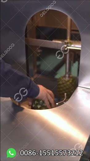 Pineapple Processing Factory