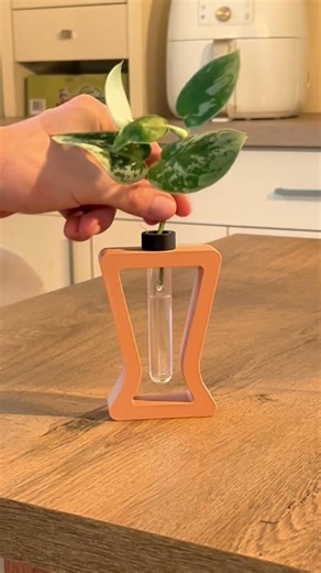 Váza na množení rostlin Vesea 🌱 | Ideální pro menší řízky