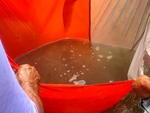 How to create fish spawn and fish transformar system. | DDRK