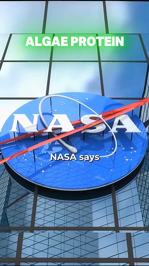 Don’t let the size fool you. ENERGYbits® algae tablets are loaded with nutrition. NASA found algae has 1,000x more nutrients than vegetables, and we packed it into bite-sized bits of real food. ✅ 3x more protein than steak ✅ Highest natural collagen ✅ 40+ vitamins & minerals | ENERGYbits Algae Tablets | Facebook