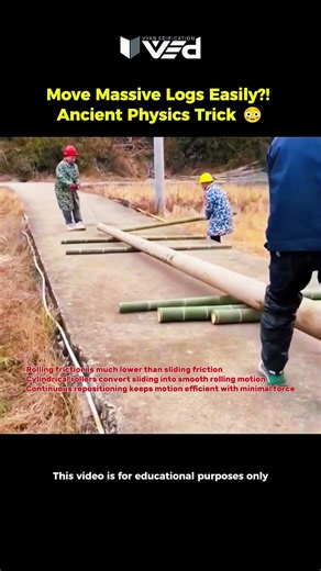 Move Massive Logs Easily?! 🤯 Ancient Physics Trick 🪵 #shorts