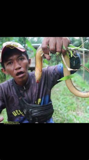 SPIL PANCING BELUT MODEL DRAGON