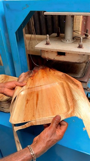 100% Natural & Biodegradable! How Eco-Friendly Areca Leaf Plates Are Made. #ecofriendly #craft