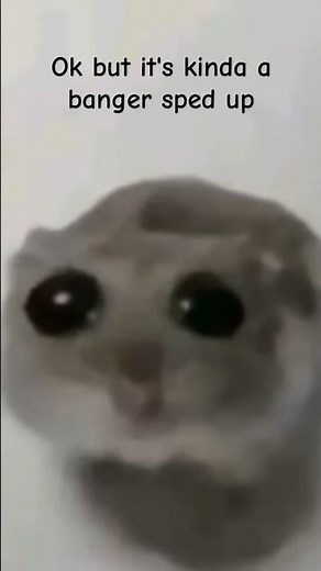 Sad Hamster meme sped up